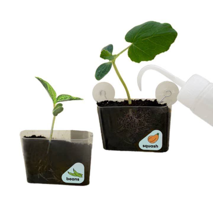 Window Garden DIY Growing Plant Kit for Kids for wholesale by KiwiCo, Inc.