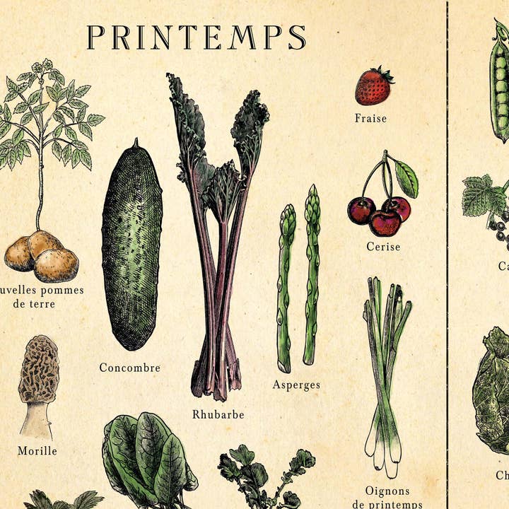 Hannah Turpin Designs – wholesale Poster – FRENCH Fruit and Vegetable poster, kitchen food print, Resta