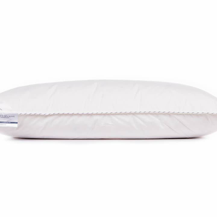 Heckettlane - Venta al por mayor Almohadas - Almohadilla de punta de platino 80/80 90% WGD 600 Gr.3