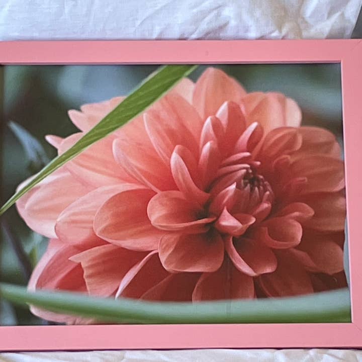 Serenity - pink framed wall print for wholesale by Analogy Designs