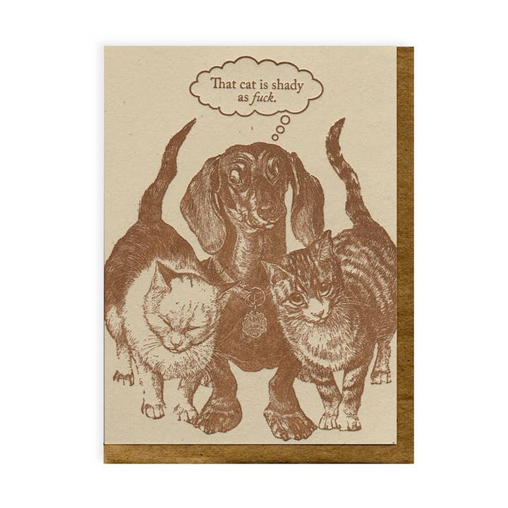 Blue Barnhouse - Wholesale Everyday Greeting Card - Shady as Fuck0