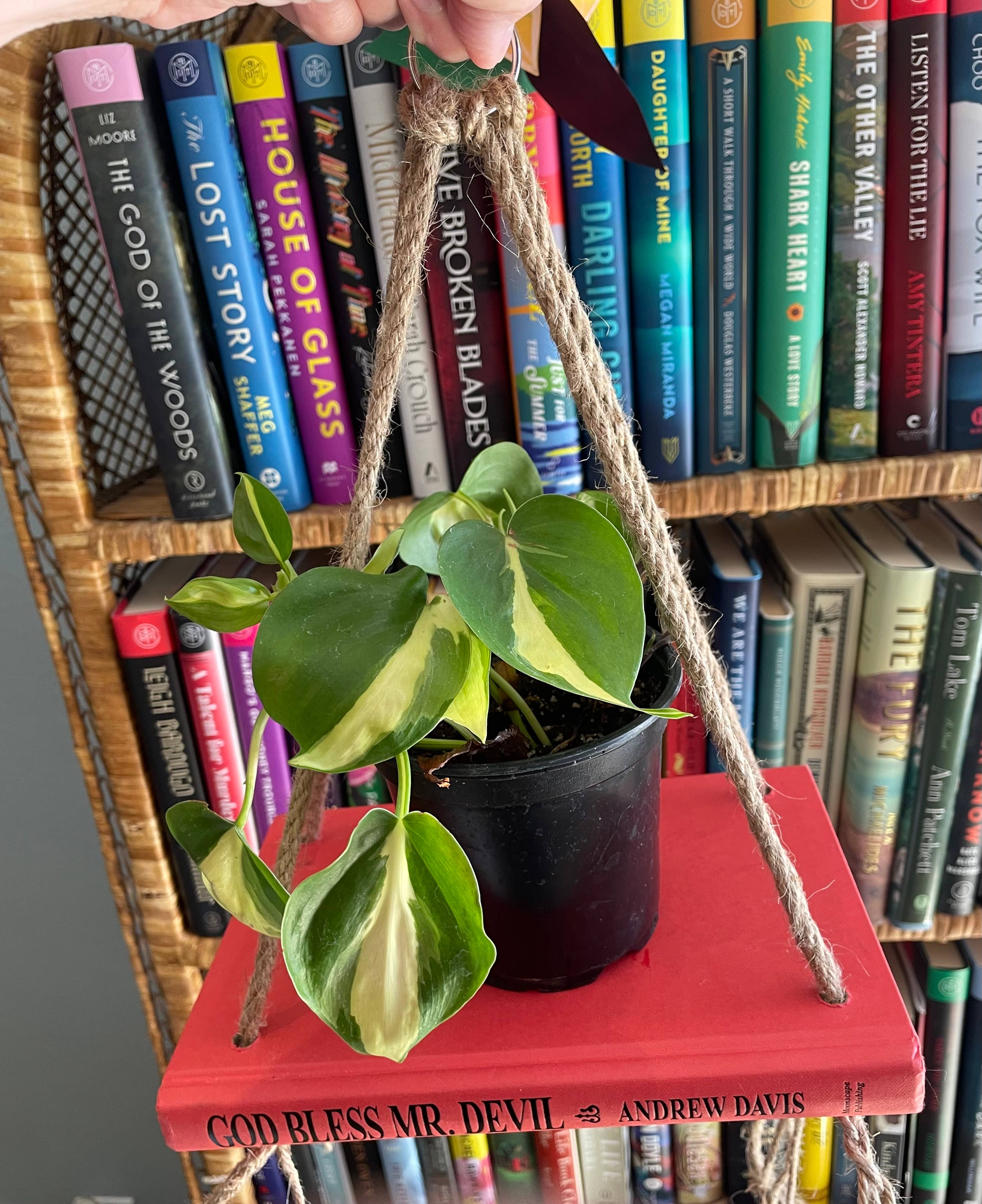 The Cactus Bros - Wholesale Hanging Planter - Book Planter2