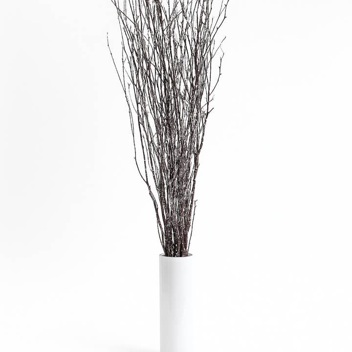 White Tipped 4 Birch Branches | 10pc Bundle for wholesale by GS Foliage