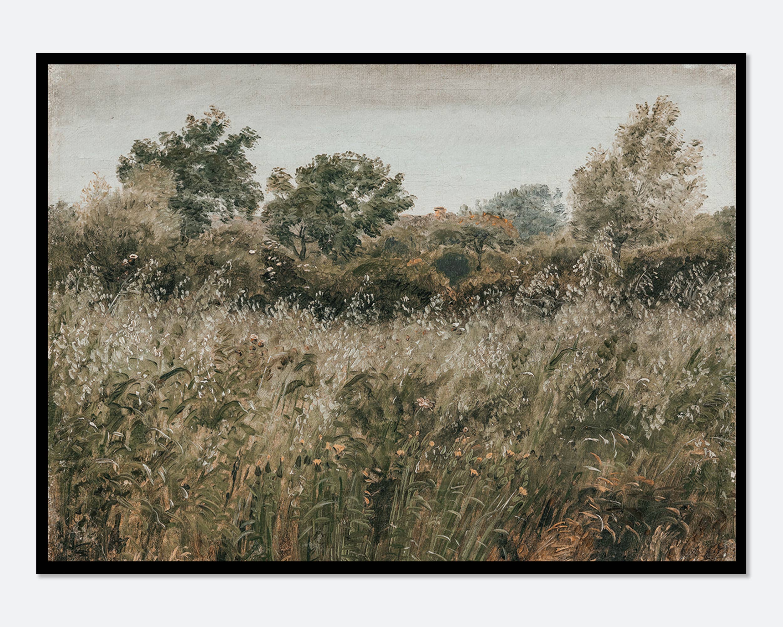 Sugar & Canvas - Wholesale Art Print - Rustic Vintage European Flower Grass Field Art Print VP616