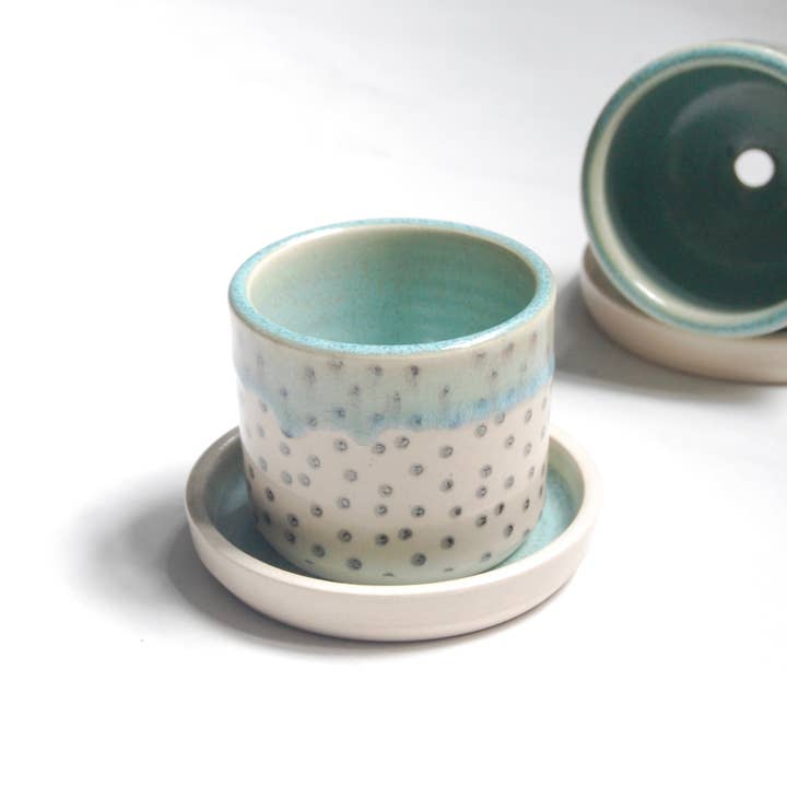 Vasetto per Piante: Stampa a Pois (2”) per la vendita all'ingrosso da parte di Compost Design