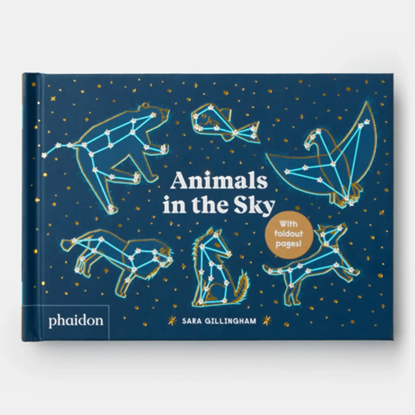 Phaidon - Wholesale Preschool Book (3-5) - Animals In The Sky7
