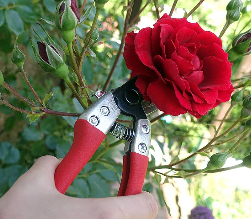 Schnittzeiten - Wholesale Garden Tool - Small pruning shears2
