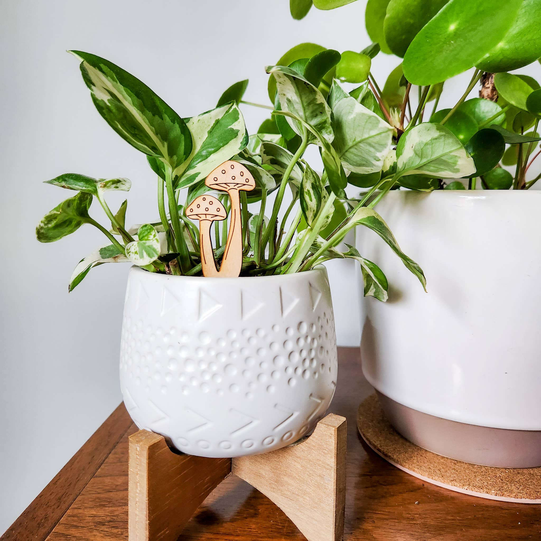 Leaf & Node - Wholesale Garden/Lawn Stake - Mushroom Decorative Houseplant Stake (Wood, 2 Sizes)8