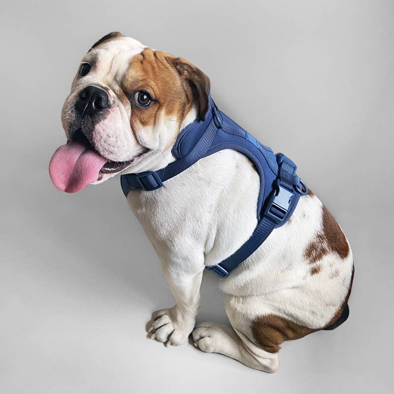 Come Here Buddy – Großhandel Haustiergeschirr – Hund – Leichter, verstellbarer gepolsterter Hundegeschirr21