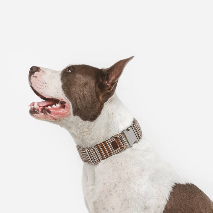 B de Bruno - Wholesale Pet Collar - Dog - Click Romeo necklace1