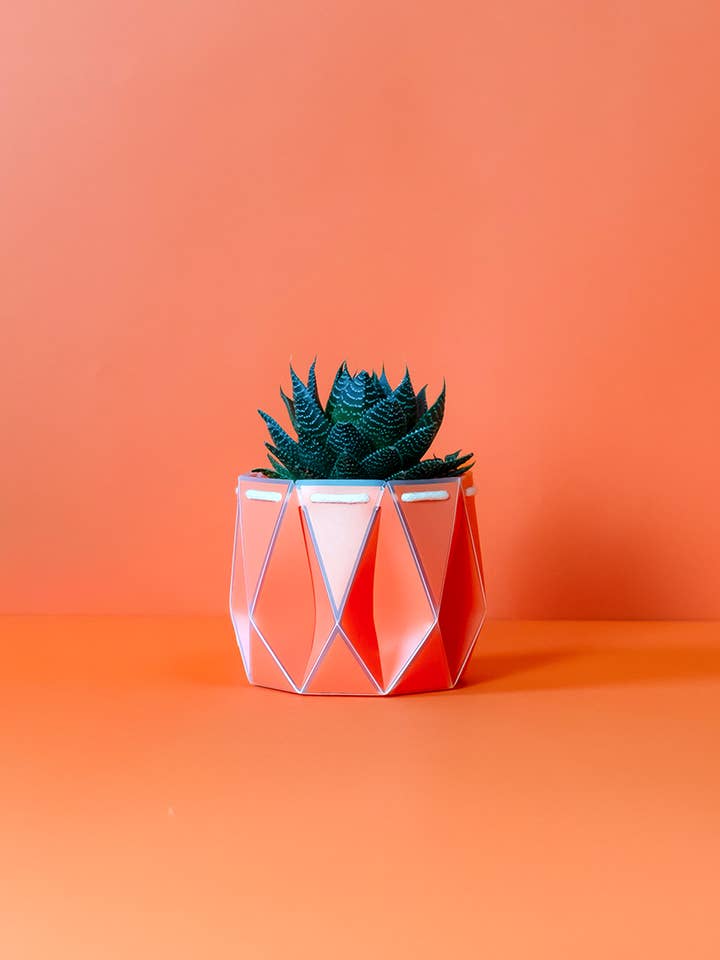Self-watering POTR Pot for wholesale by POTR