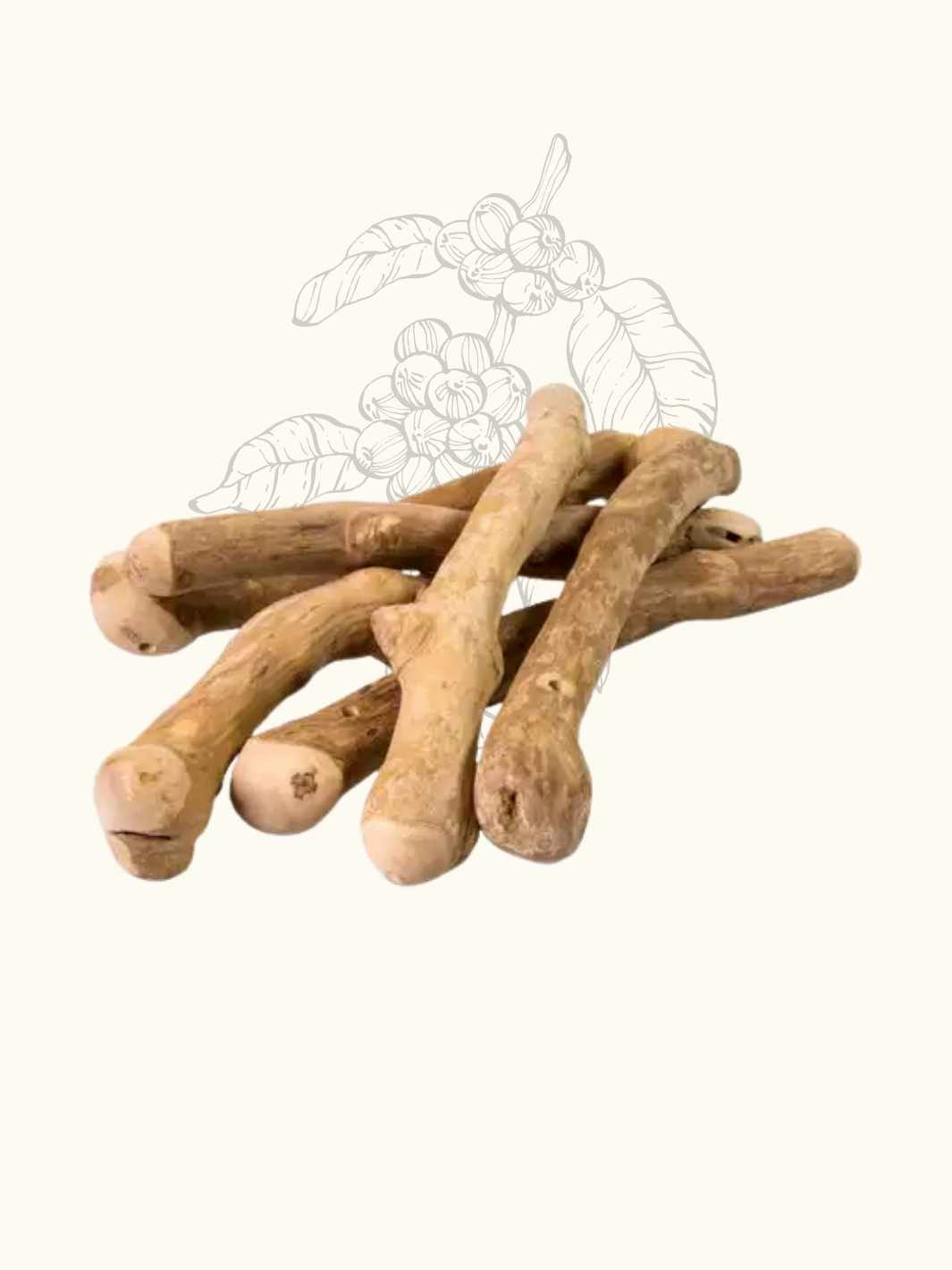 Truffe Délice - Venta al por mayor Juguete para morder - Perros - Madera de cafeto7