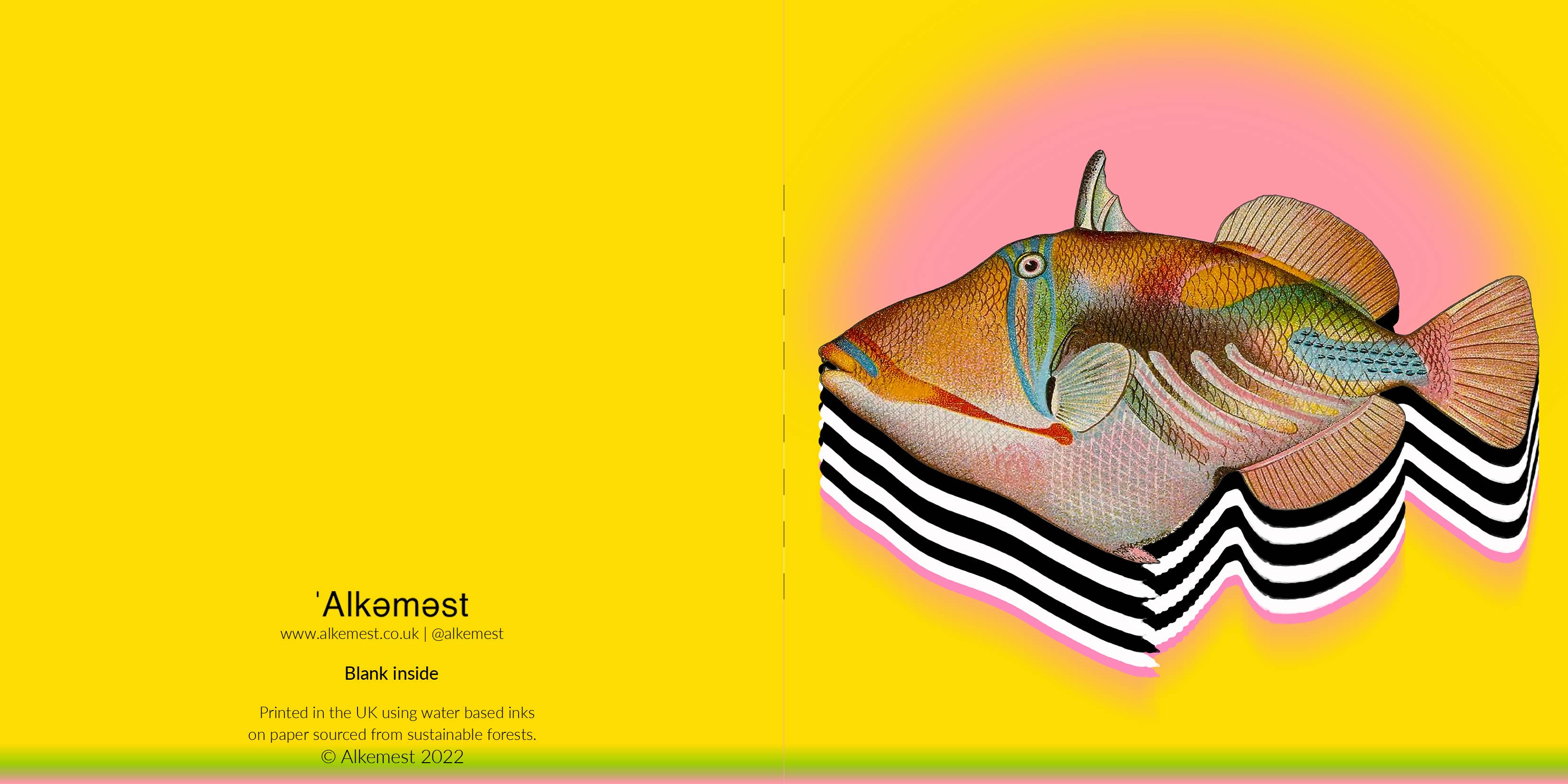 'Alkemest - Vente Carte de vœux classique - Cartes de vœux : Sea Life Collection - Poisson zèbre2