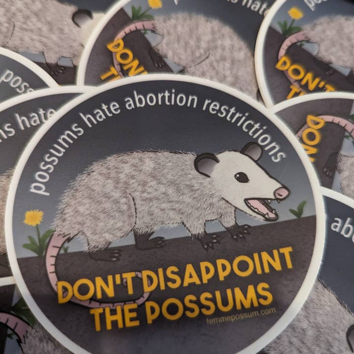 Don't Disappoint Sticker for wholesale by femmepossum