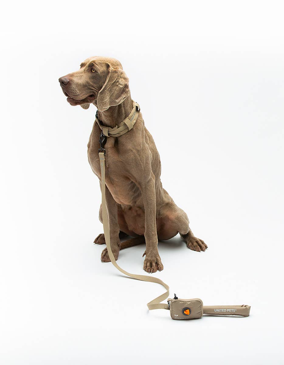 United Pets - Wholesale Hondenriem - Hond - Zachte hondenriem met gewatteerd handvat13