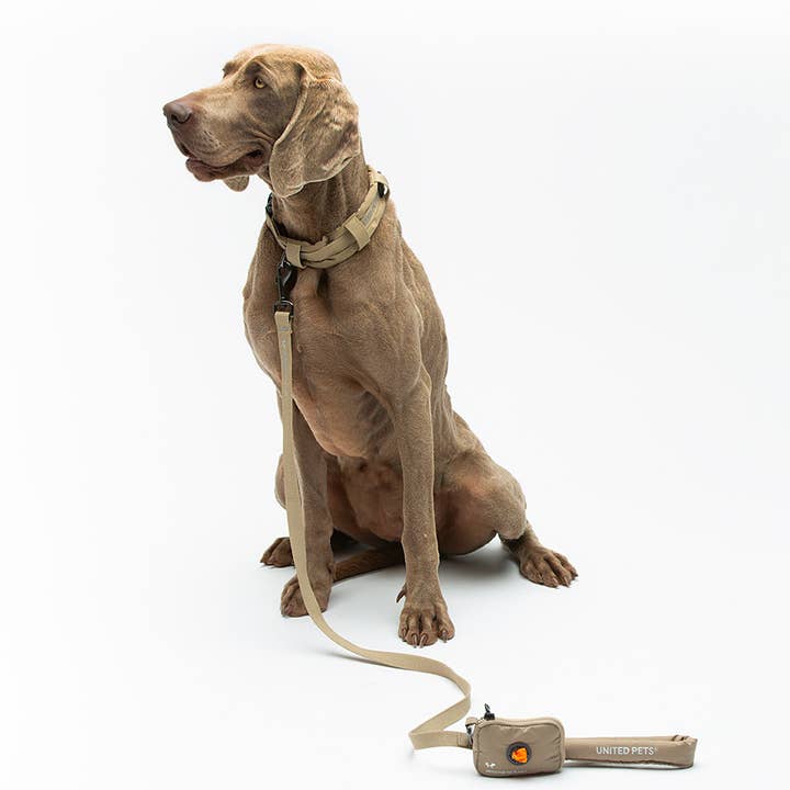 United Pets - Wholesale Pet Leash - Dog - Dog Padded Soft Leash13