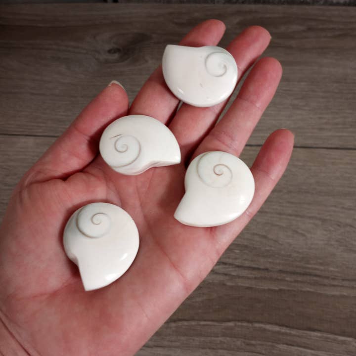 Keystone Crystals - Wholesale Spiritual Stone/Crystal - Shiva Shell Ammonite Shaped2