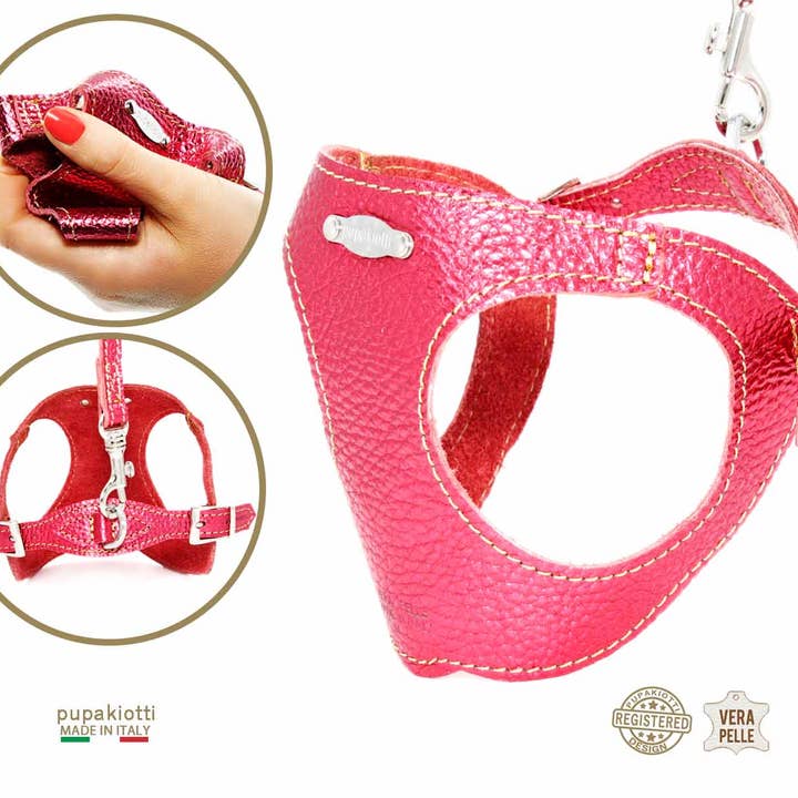 Pupakiotti Pets, Brand in Italy Srl. - Wholesale Hondenriem - Hond - GLAM. 3-delige set tuig en riem met leren zakjeshouder voor honden1