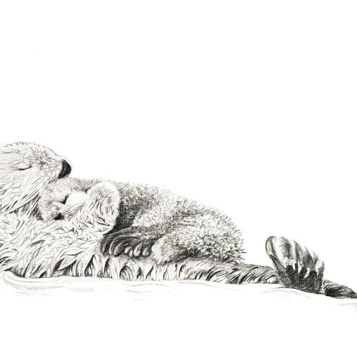 LE NID atelier - Vendita all'ingrosso Stampa artistica - Adorabile lontra di mare che nuota con stampa cucciolo6