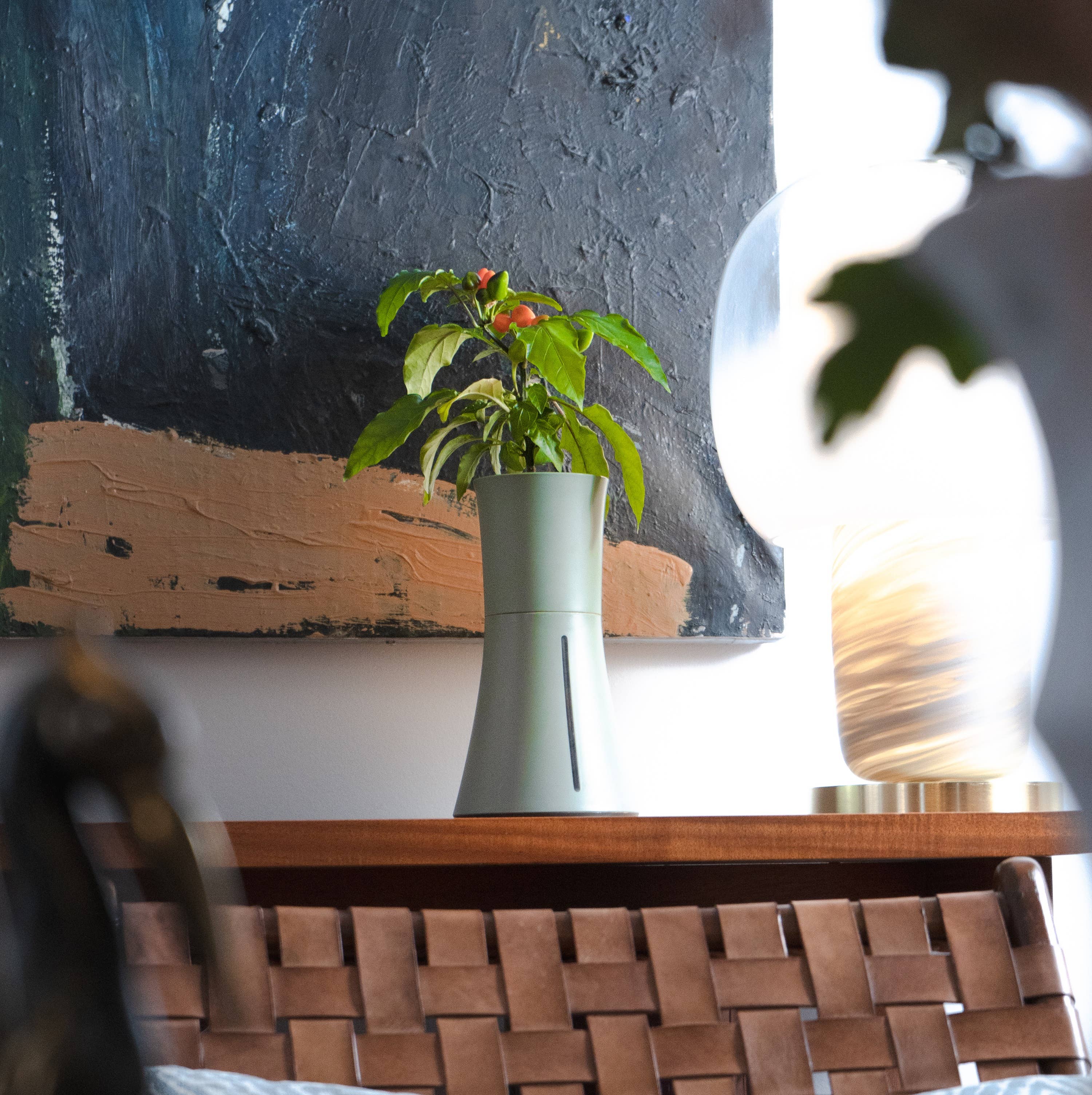 Botanium AB - Wholesale Plant Pot - Botanium - Laurel Green7