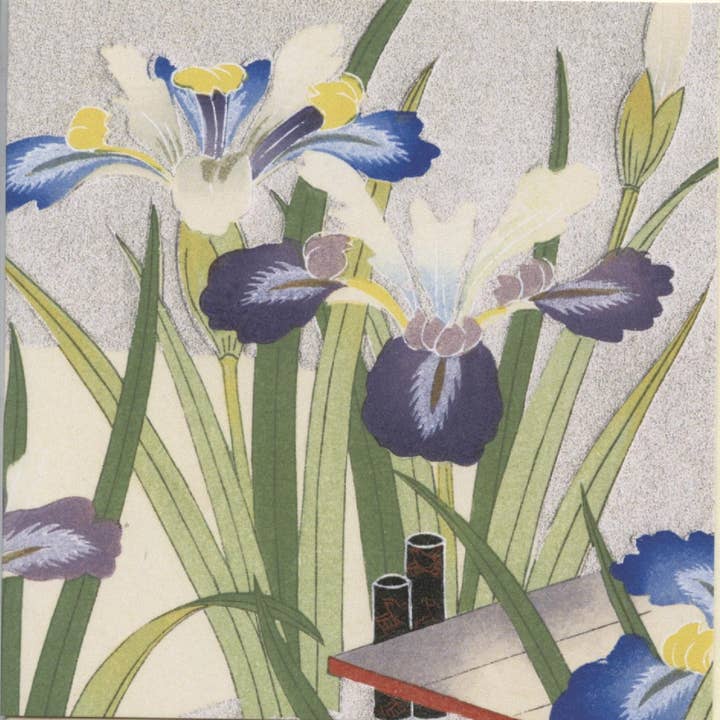 CATCH 12X12 CARTES DOUBLES NC 36638 pour la vente par Phenicia