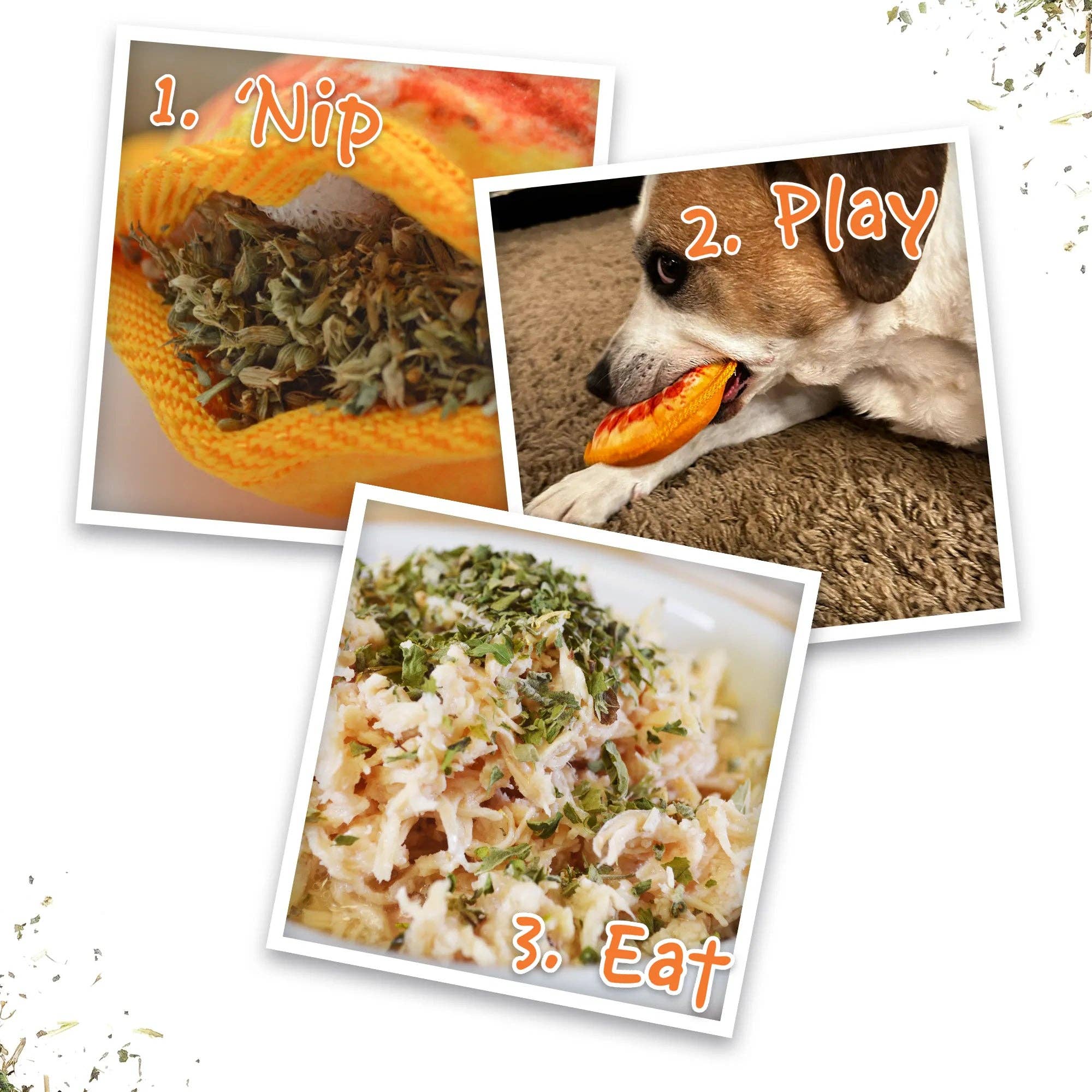 SmarterPaw | Meowijuana & Doggijuana - Wholesale Pet Chew Toy - Dog - Doggijuana® Tuffer Chewer Mini Pepperoni Pizza Dog Toy4