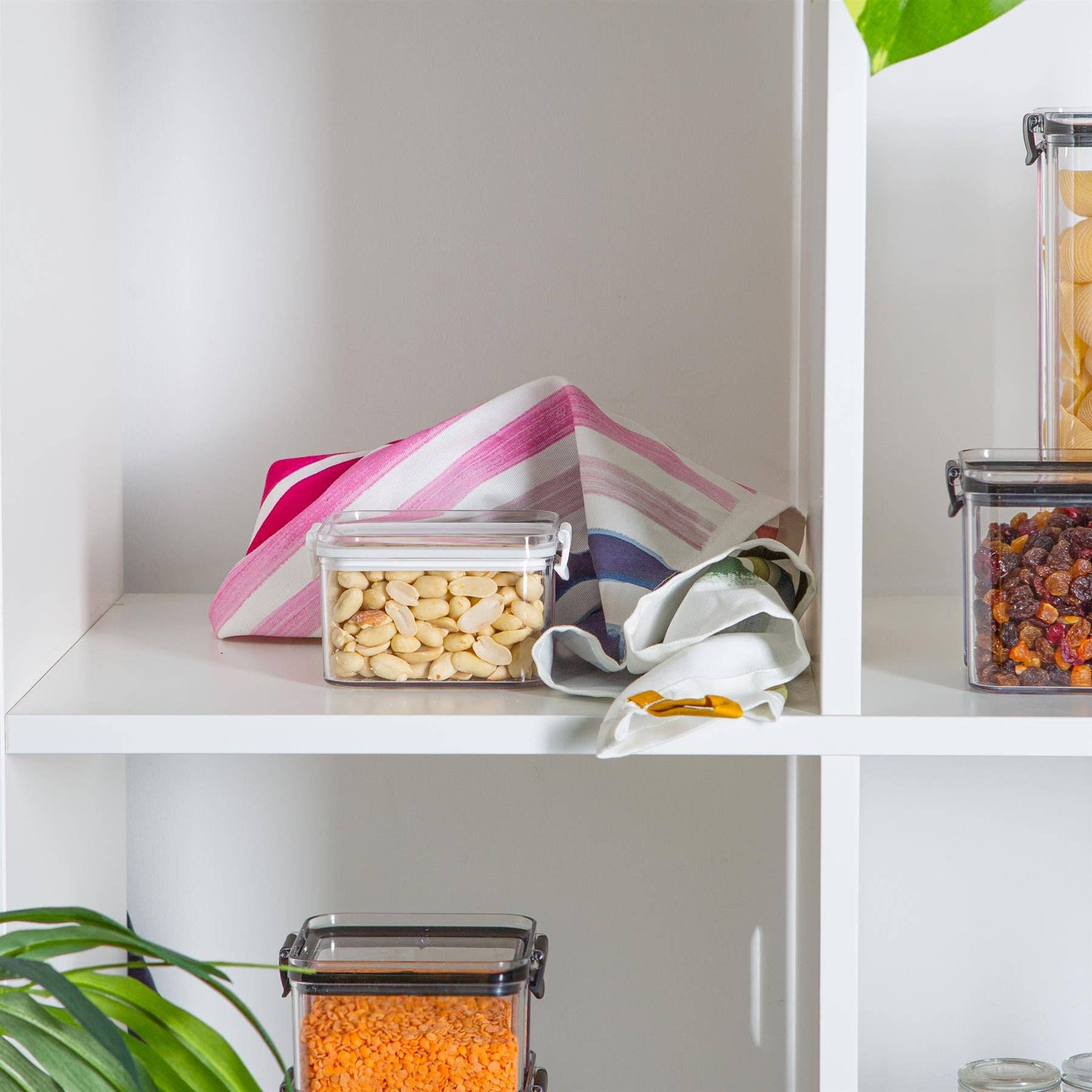 Rinkit Ltd - Wholesale Voedselopslagcontainer - Argon servies Plastic voedselopslagcontainer - 460ml7