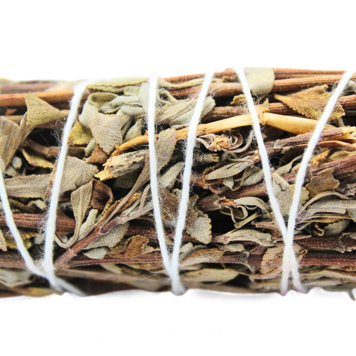 Green Tree - Wholesale Sage Bundle - Mountain Sage 10 Cm1