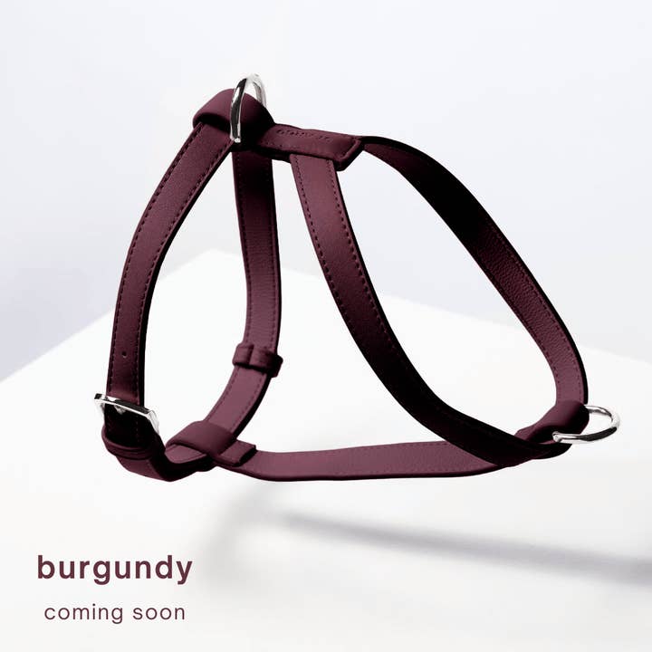 HARNESS - Burgundy - ETA MAR 10th for wholesale by ST ARGO