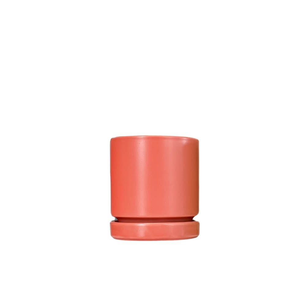 Momma Pots - Wholesale Plant Pot - 8.5" Citrus Collection Cylinder Pots with Water Saucers2