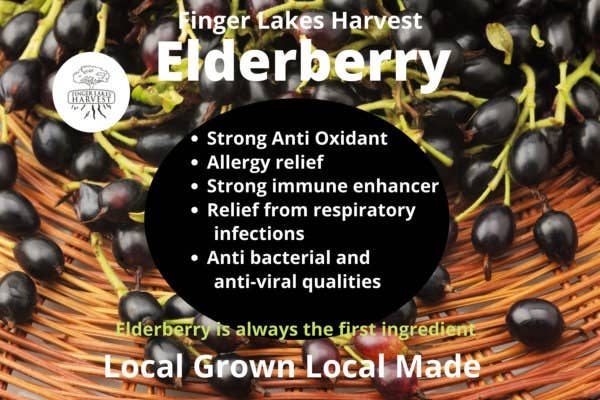 Finger Lakes Harvest - Wholesale Oral Supplement/Vitamin - Elderberry Syrup3