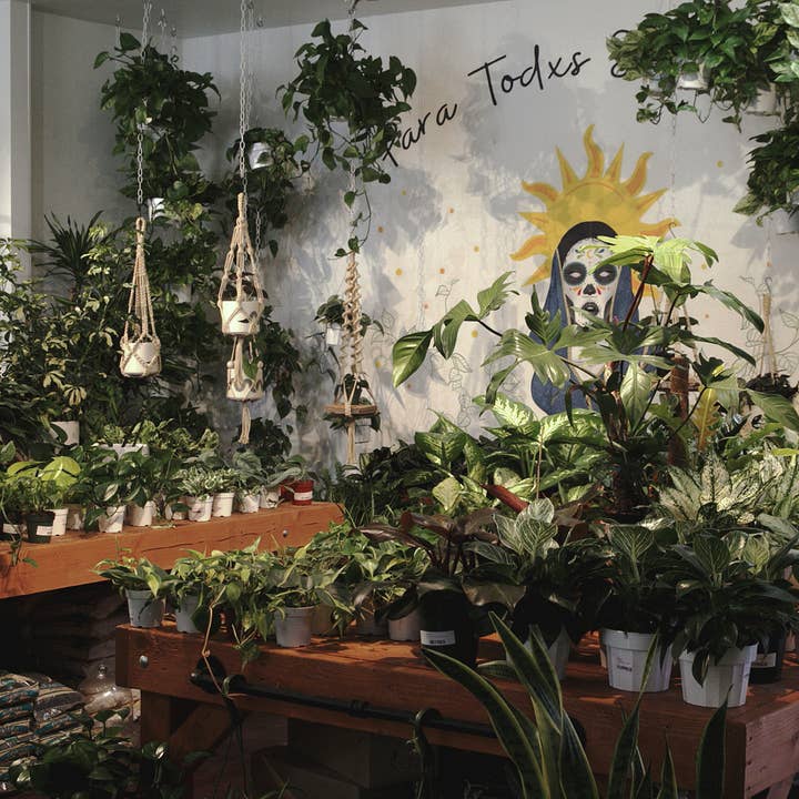 Soul of the Party - Wholesale Hanging Planter - Large Plant Hanger2