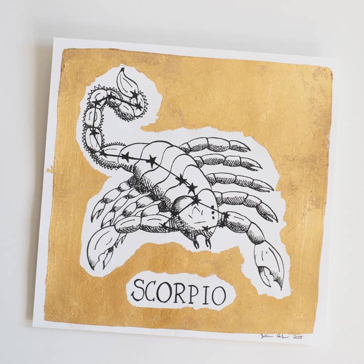 Scorpione per la vendita all'ingrosso da parte di Sullivan Anlyan