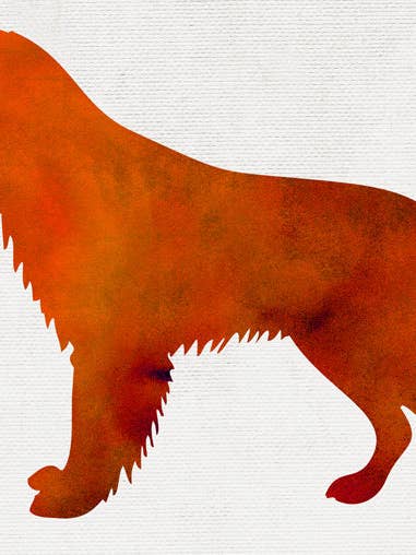 Póster de Perro en Acuarela para venta al por mayor de Keep Calm Collection