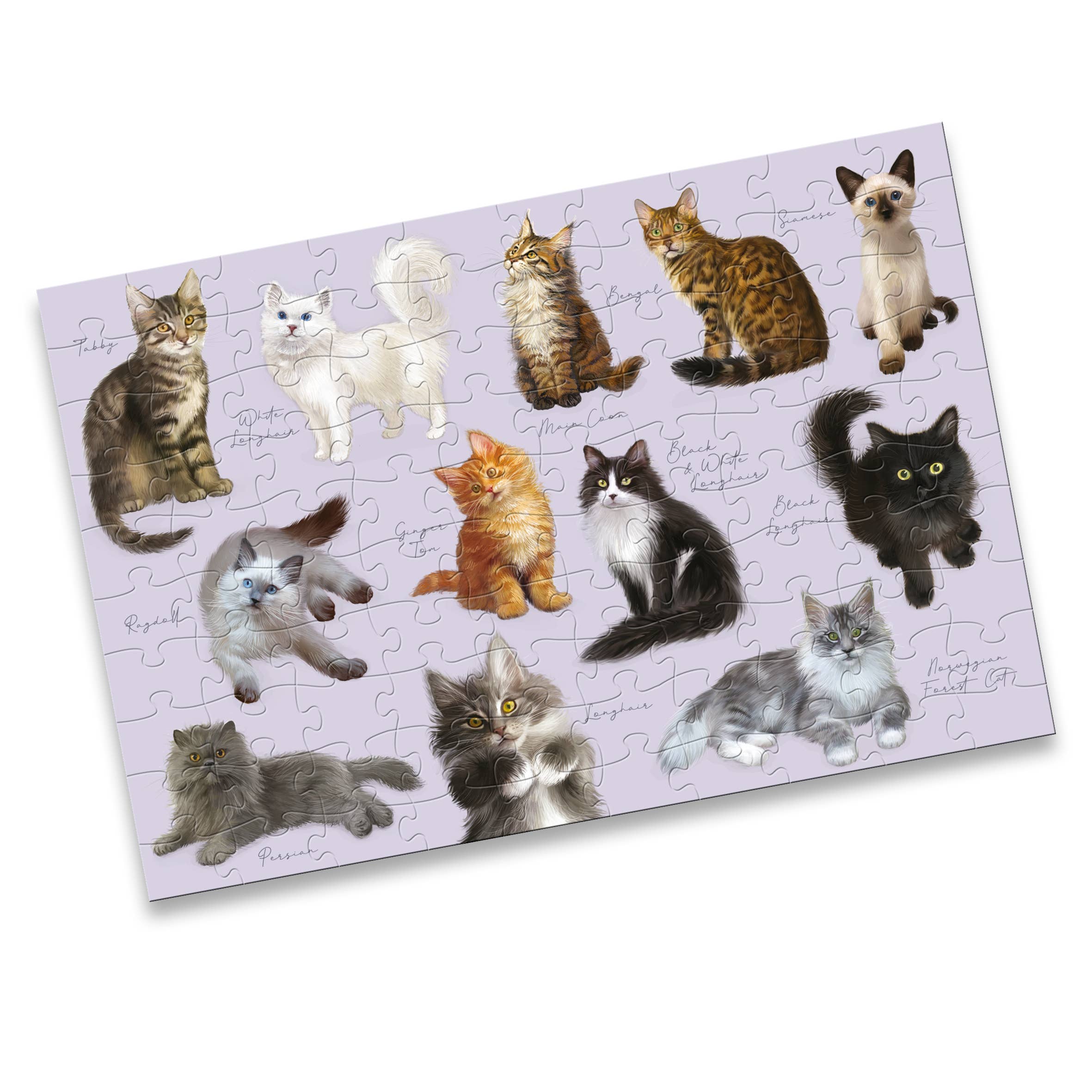 Robert Frederick Ltd – wholesale Puzzle – Child – 100 Piece Jigsaw - Cats1