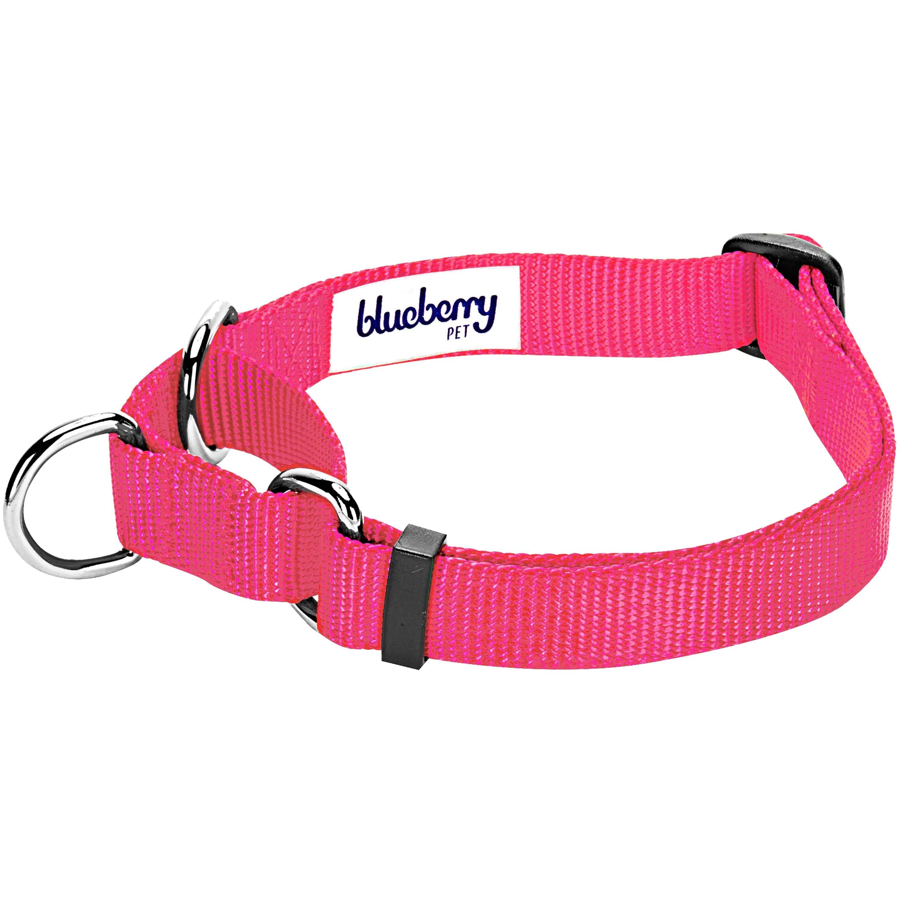 Blueberry Pet – Großhandel Haustierhalsband – Hund – 4 Farben, Klassisches Martingale-Hundehalsband4