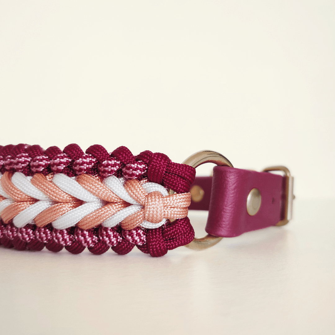 Truffe & Flair – wholesale Halsband - Hund – Flätat hundhalsband i Biothane och paracord - Hallonröd4