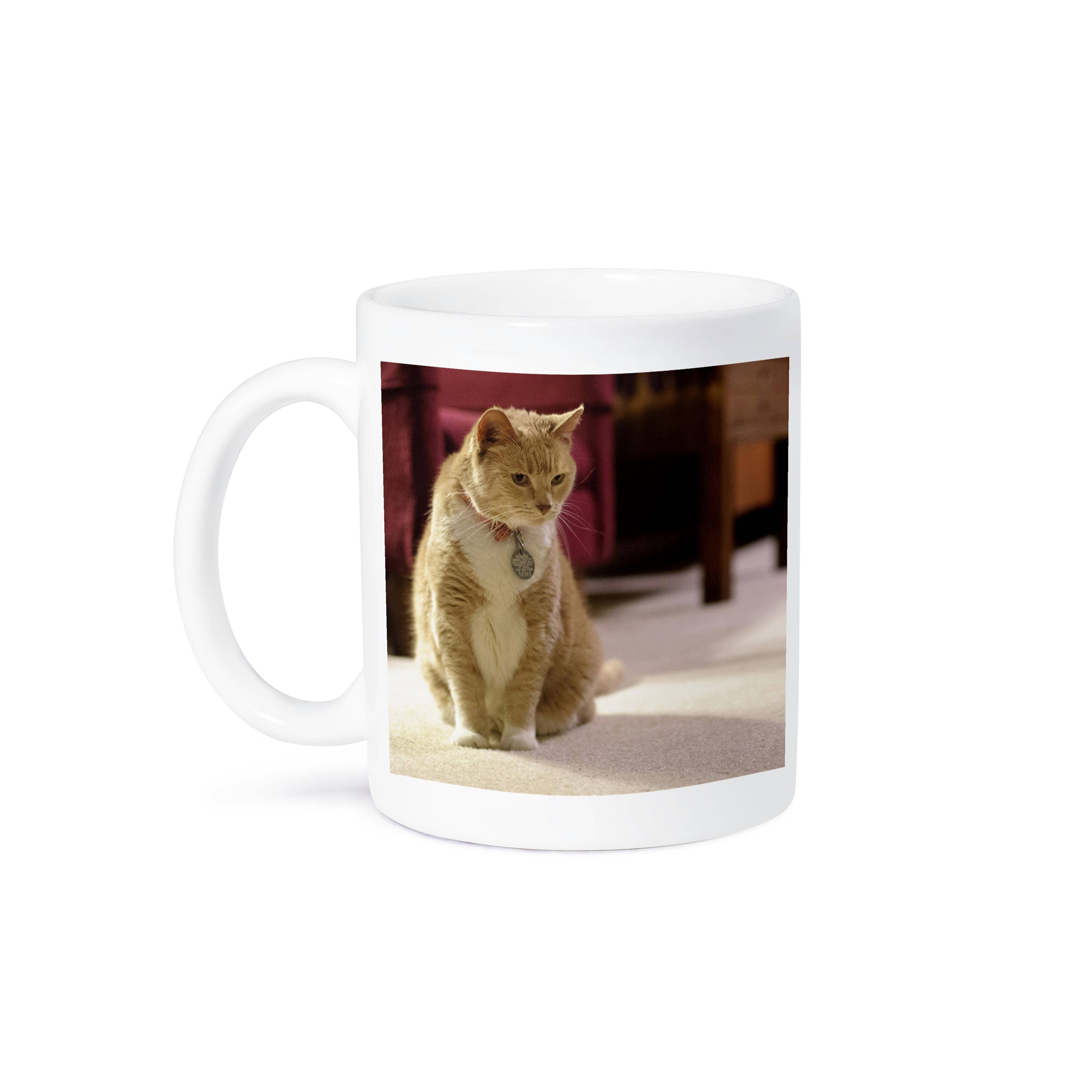 3dRose - Wholesale Coffee Mug - 3dRose, Orange tabby housecat in a living room - NA02 MFR0000 - MFR, Mug8