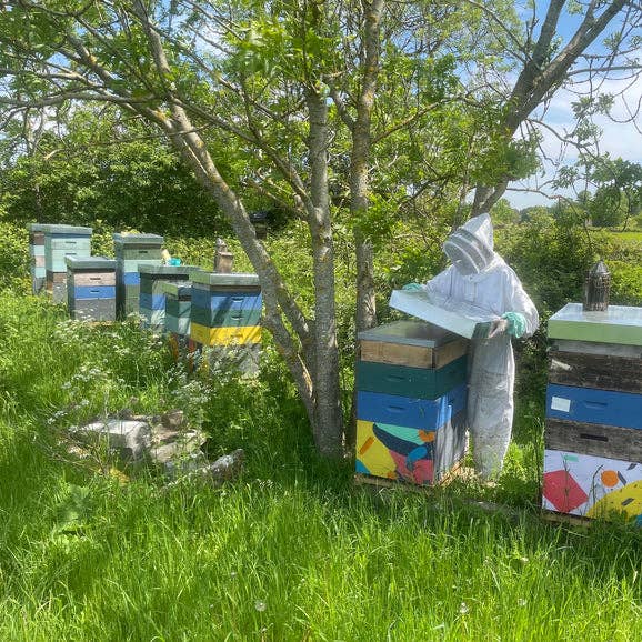 The London Honey Company - Wholesale Honey - British Wildflower Honey