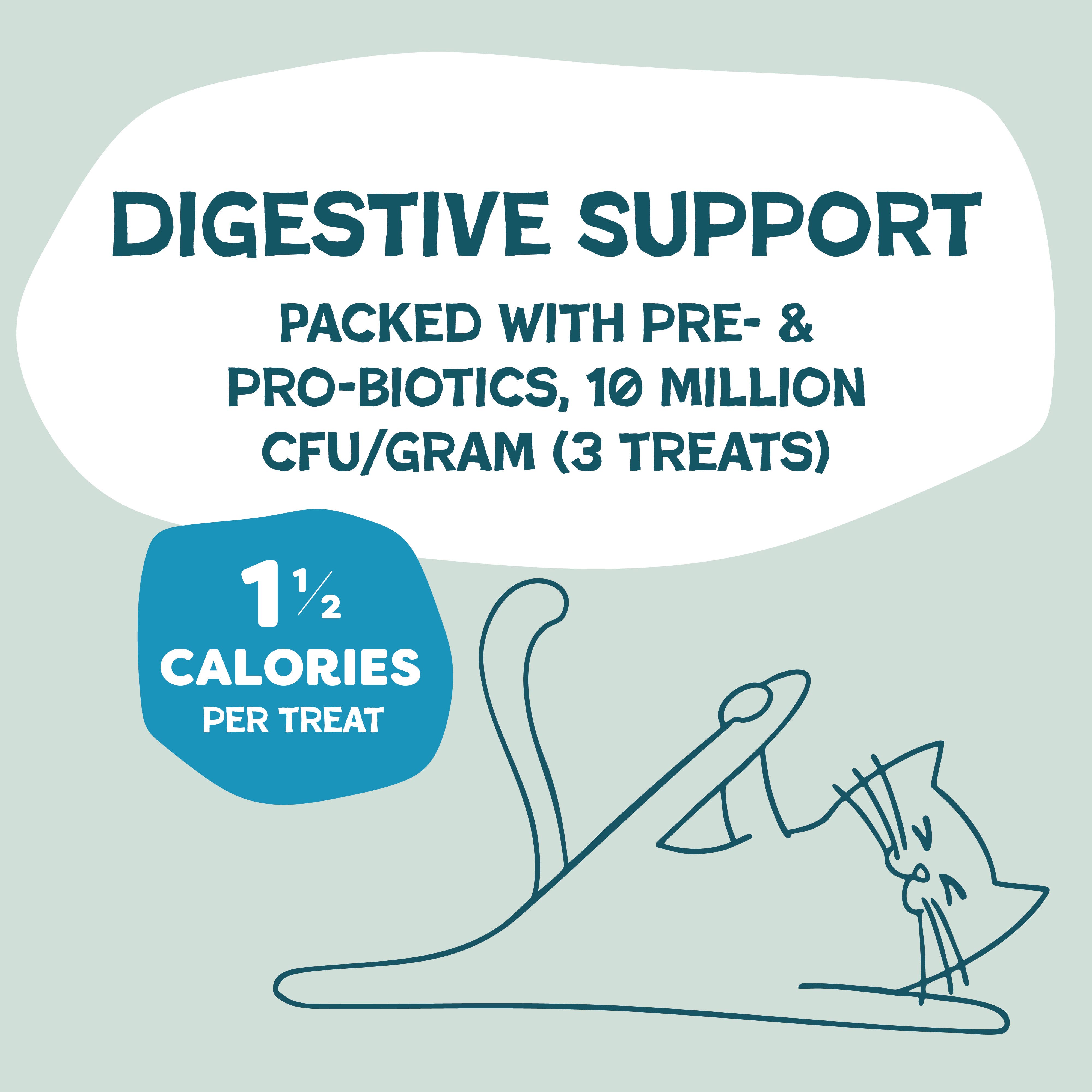 Shameless Pets - Wholesale Pet Treats - Cat - Catnip N Chill (fka Fintastic Catnip) Crunchy Cat - Tuna2