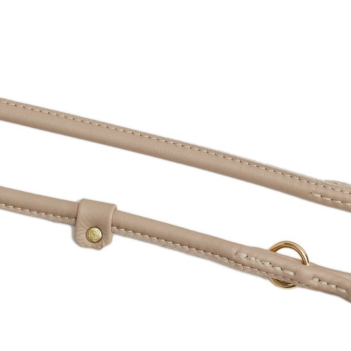 AMICI Huisdierlijn IVORY voor wholesale door LABONI - Volentis GmbH