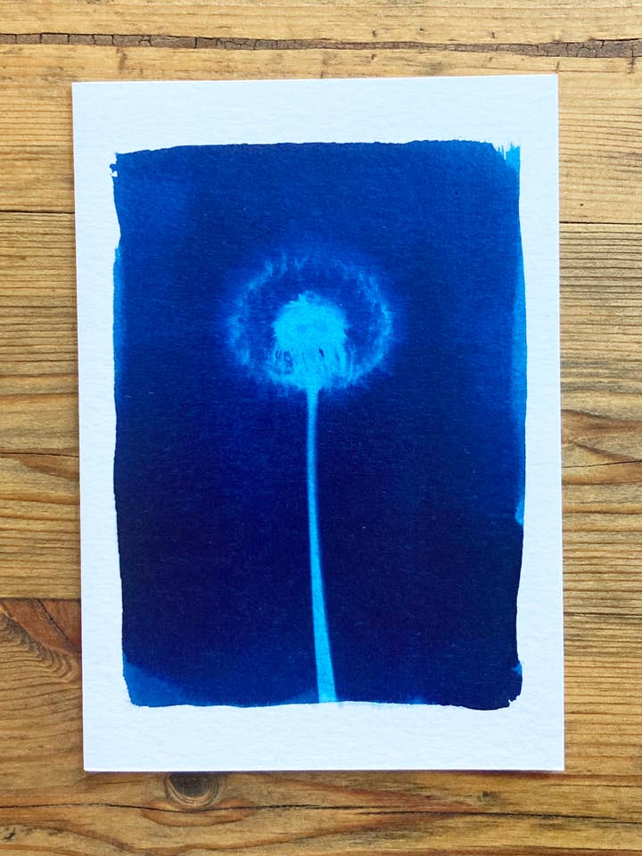 'Dandelion' botanische blauwe wenskaart voor wholesale door Made By McDuff
