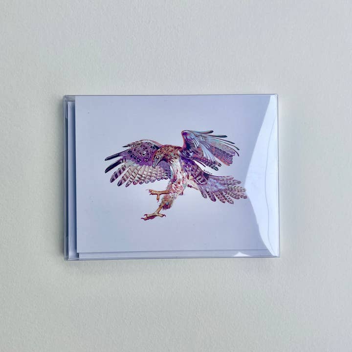 Liz Burdick Arts - Wholesale Everyday Greeting Card - Maine Bird Greeting Card Pack1