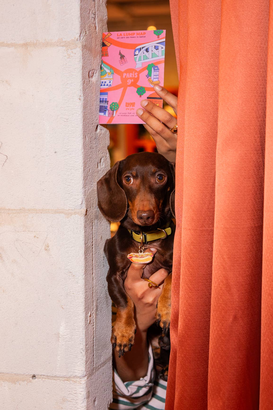 Lump - Wholesale Map - Paris dog-friendly Map1