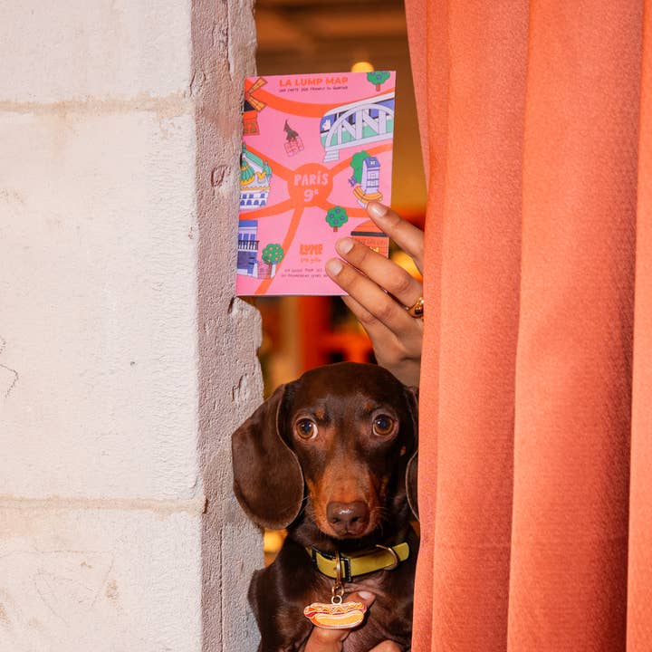 Lump - Wholesale Map - Paris dog-friendly Map1