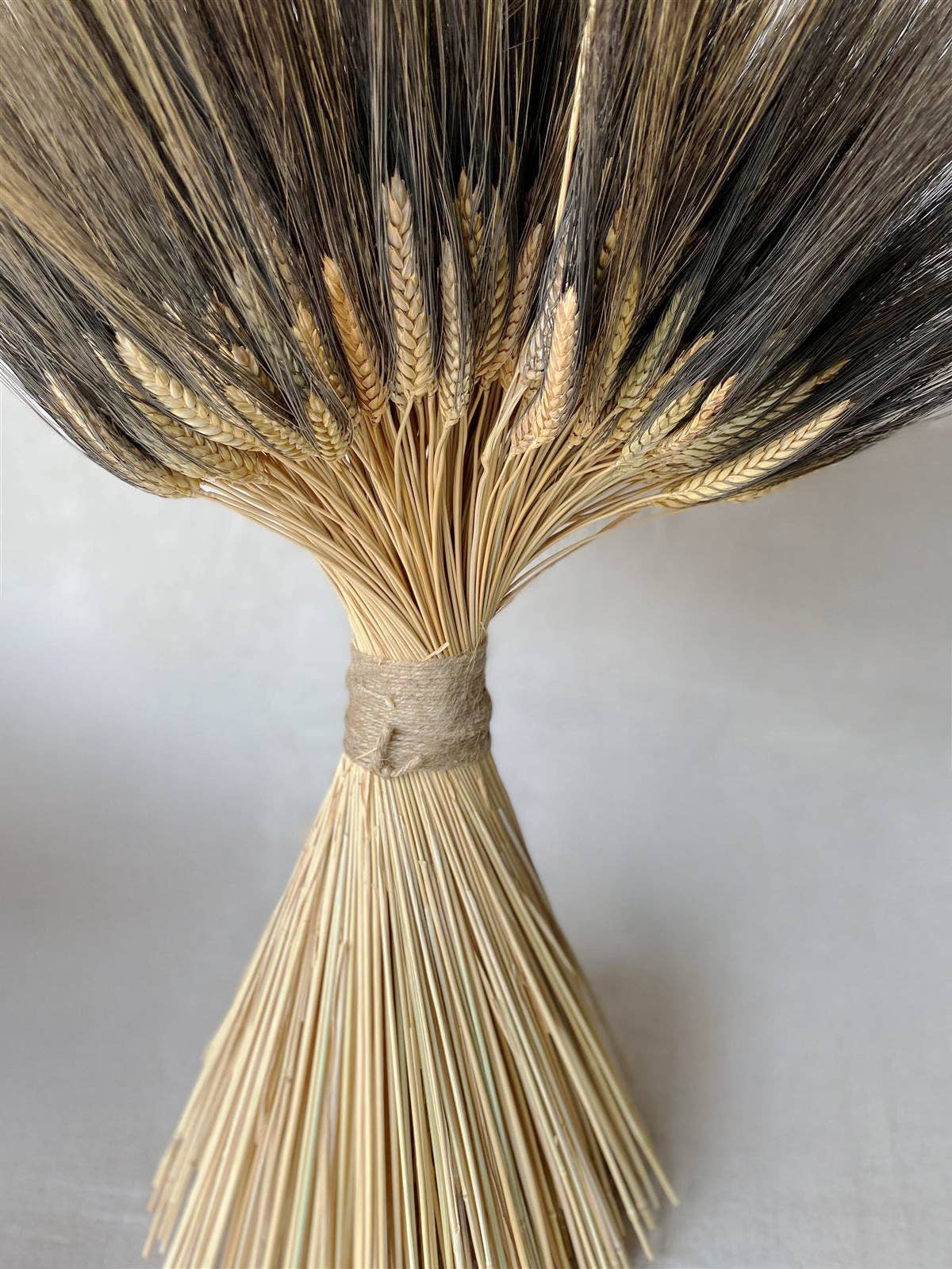 Bloomist - Wholesale Dried/Pressed Flowers - Dried Blackbeard Grande Wheat Stack0