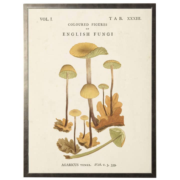 Vintage english mushroom bookplate L for wholesale by Antique Curiosities Inc