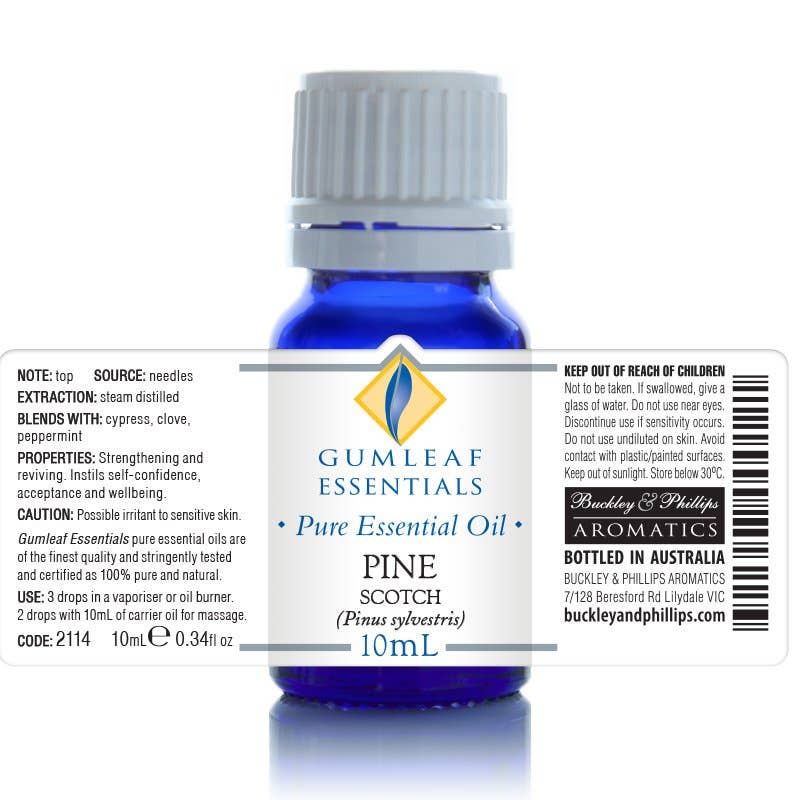 Buckley & Phillips Aromatics - Wholesale Essential oil - Pine Scotch Essential Oil2