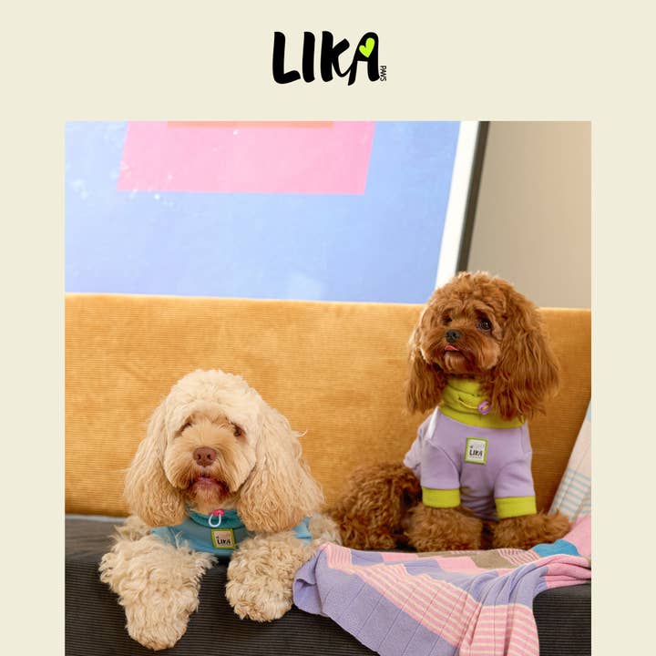 Thermal Dog Onesie Blue for wholesale on Faire2