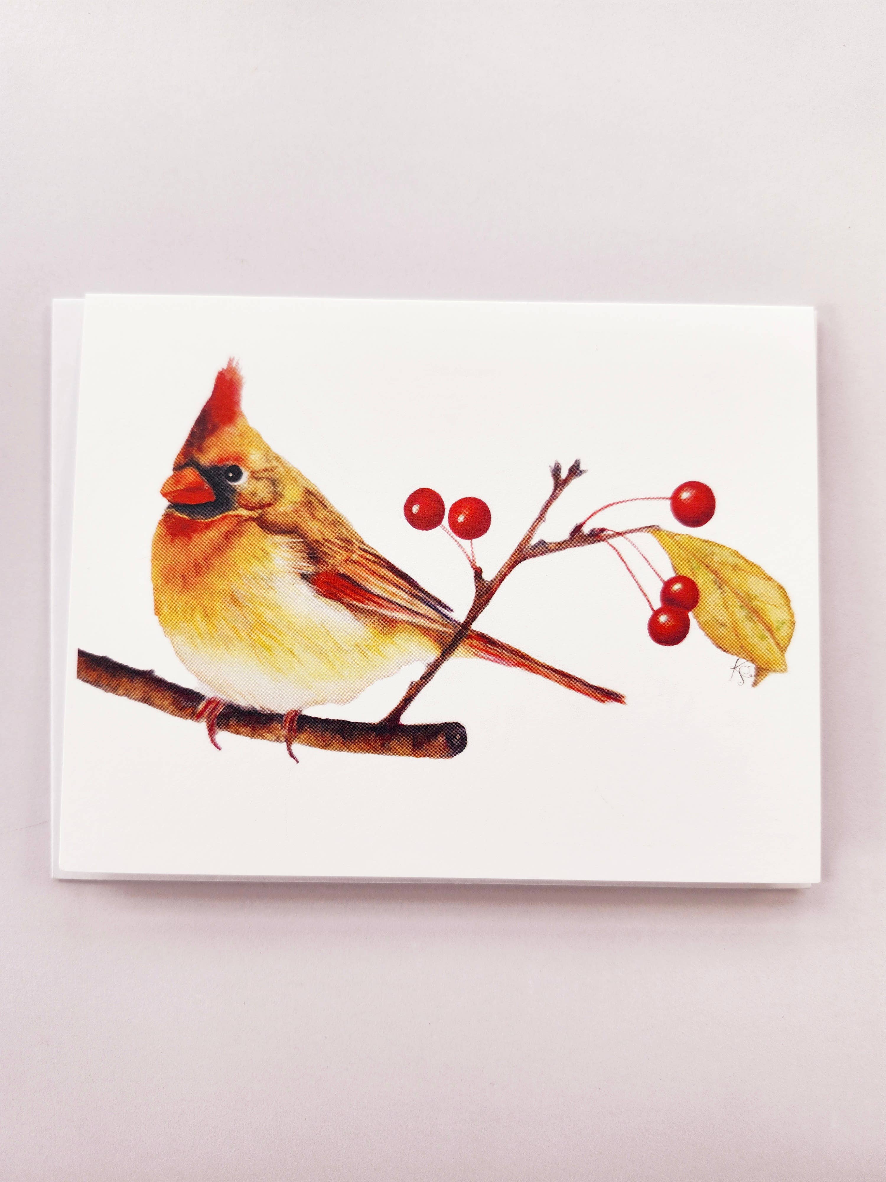Redbriar Studio - Wholesale Stationery/Notecard Set - Notecards1